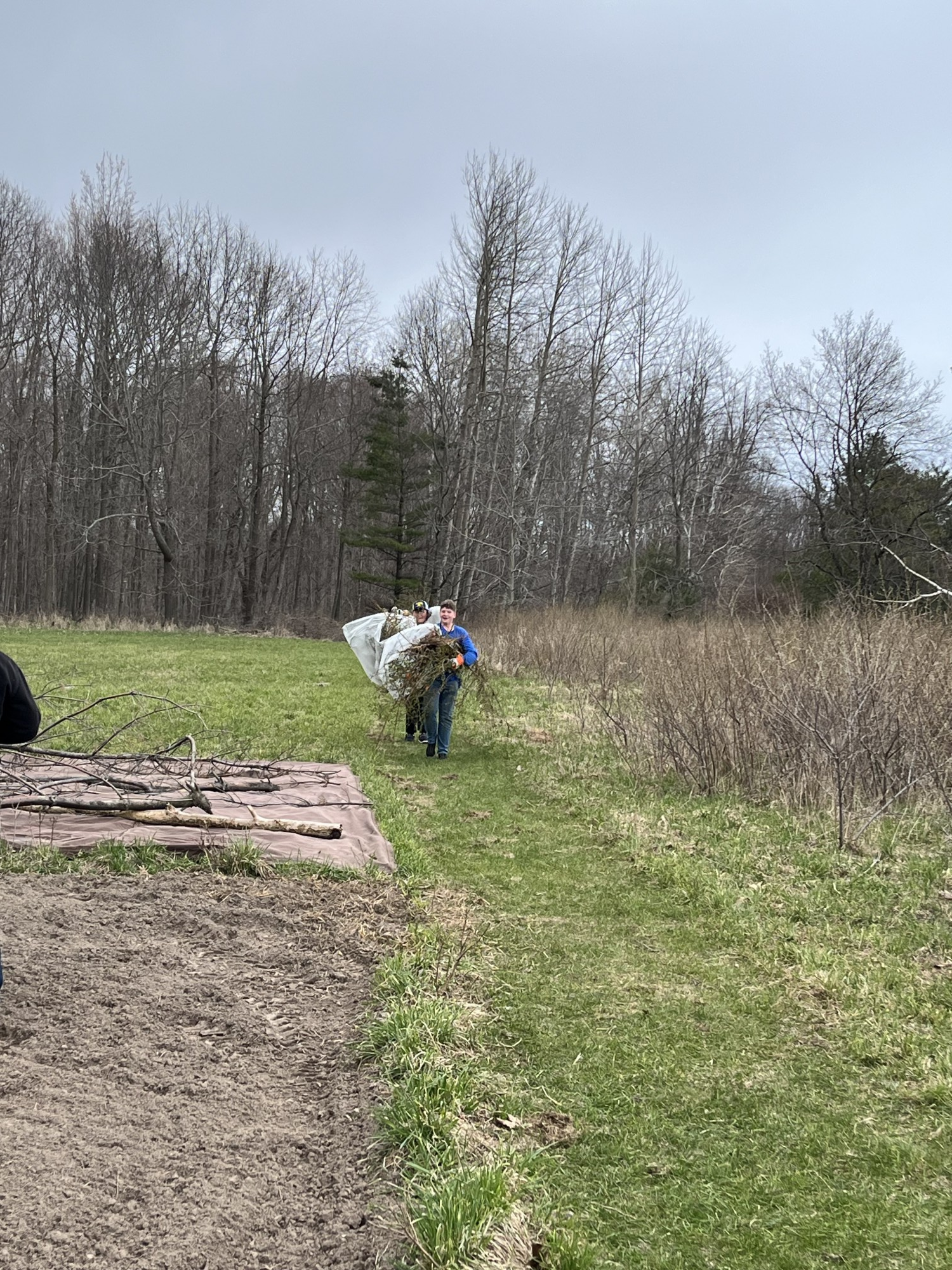 Alcona students help at the Helen Nisbet Roberts Preserve in Harrisville.