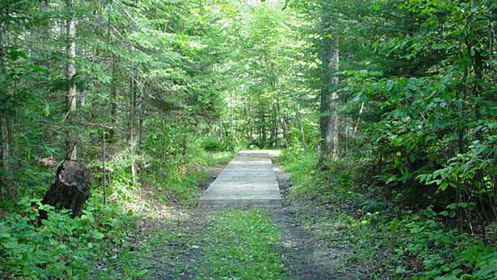 Negwegon State Park